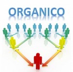 Organici 2018-2019, l´informativa del Miur