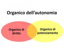 Organici, potenziamento blindato  ItaliaOggi del 09/05/2017