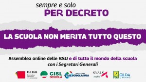 solo x decreto